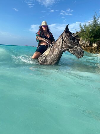 zanzibarhorseclubnungwi